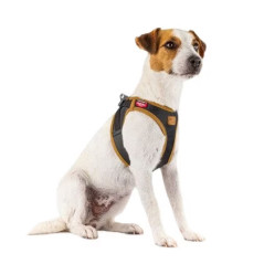 Harnais Curli Apple Leather noir – profil sur chien