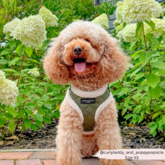 Chien  portant Harnais Cocopup matelassé kaki avec fourrure blanche