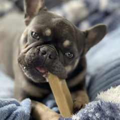 Léonz – Cheese Chew sticks himalayens au lait de yak