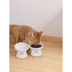 Chat mangeant dans le bol surélevé et incliné M-Pets TILT’D, repas plus confortable et design