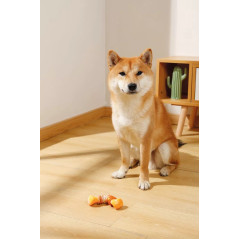 Chien jouant avec l’os à mâcher M-Pets Carnivore Boomerang Bone goût bacon