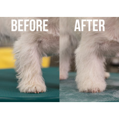 Avant après shampooing sec Show Tech+ Quick Clean sur chien, poil terne puis pelage propre et texturisé
