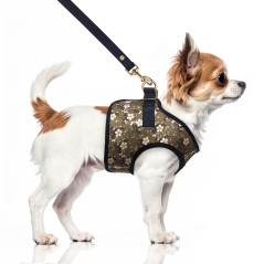 Petit chien avec harnais jacket Milk&Pepper Bethany kaki et rose
