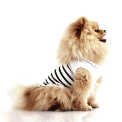 Chien portant t-shirt Milk&Pepper Solena rayé écru marine