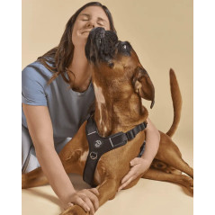 Chien portant le harnais Tre Ponti Harmonia noir