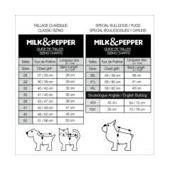 Milk & Pepper Fergus Pull Rouge – vue complémentaire