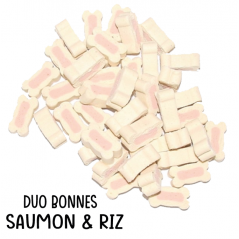 détail duo bones saumon riz pour chien friandise naturelle