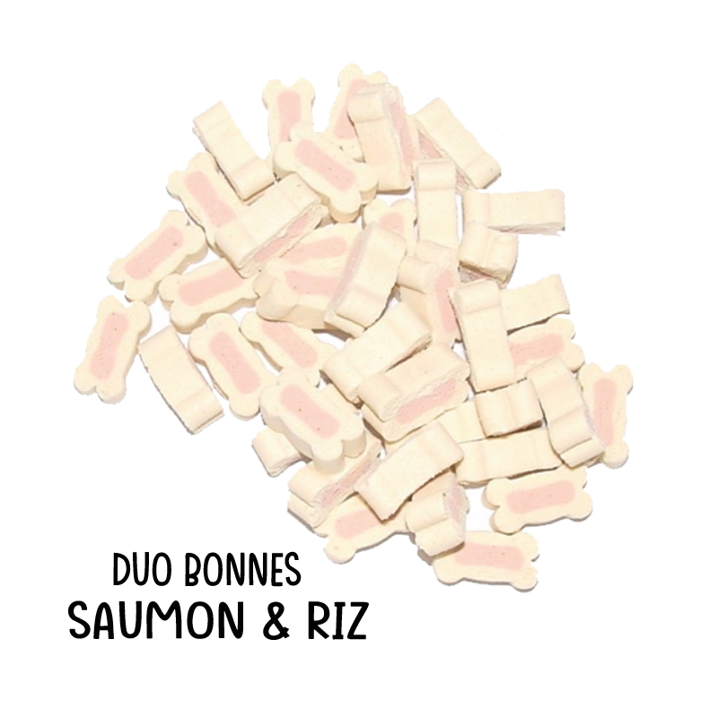 détail duo bones saumon riz pour chien friandise naturelle détail duo bones saumon riz pour chien friandise naturelle