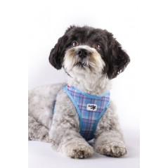 Harnais Curli Vest Clasp Air-Mesh bleu pour chien