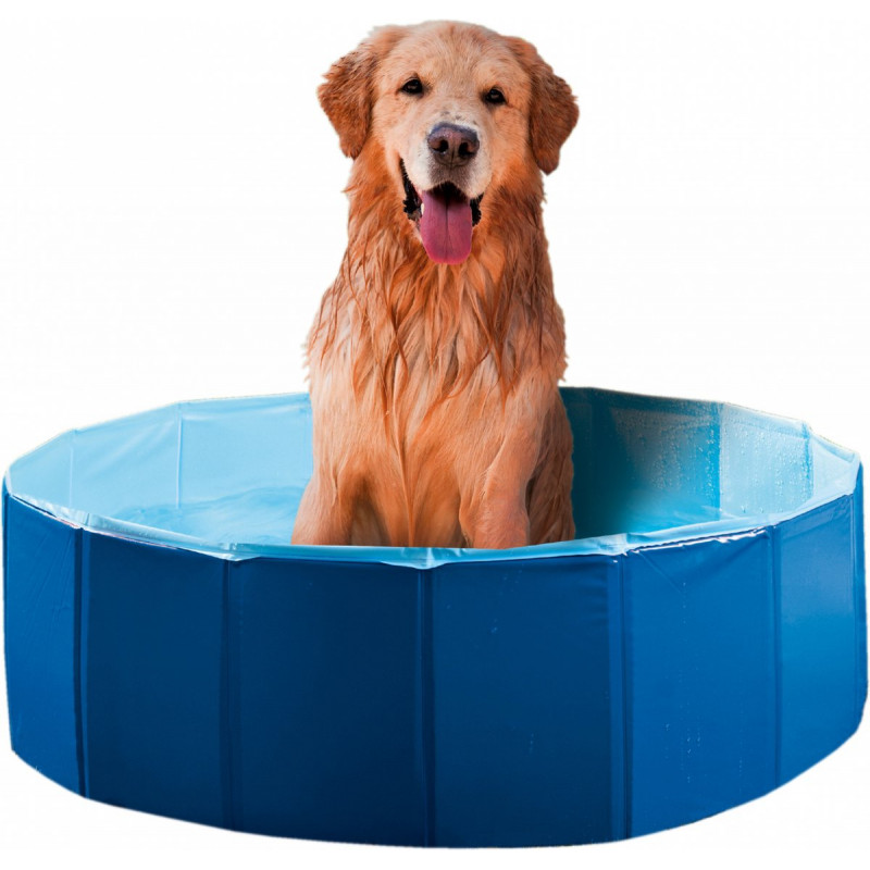 Piscine pliable pour chiens - La Maison Toutou