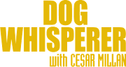Dog Whisperer